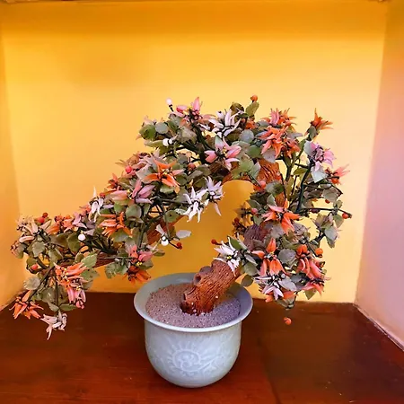 芬尼希亚酒店 罗马