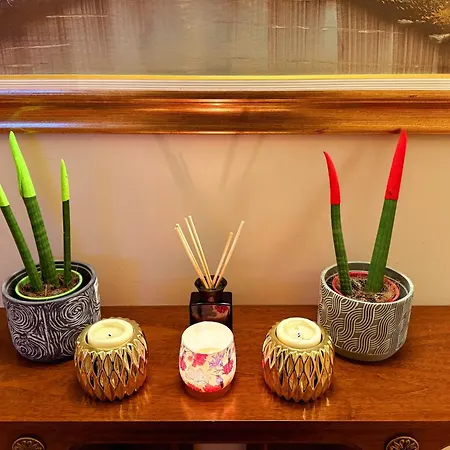 芬尼希亚酒店 酒店