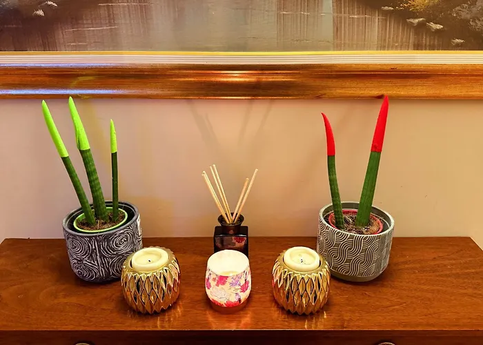 芬尼希亚酒店 酒店